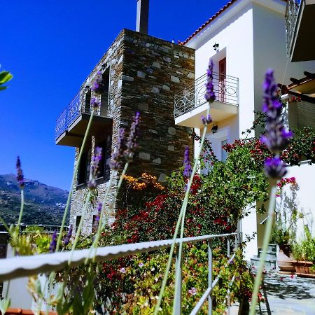 Rastoni Apartments Andros Town Exterior photo